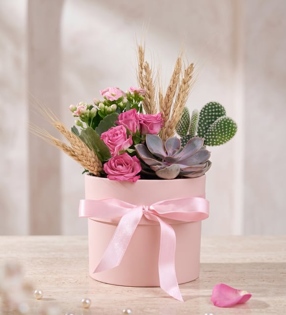 Pembe Polimer Saksıda Opuntia Microdasys & Kalanchoe
