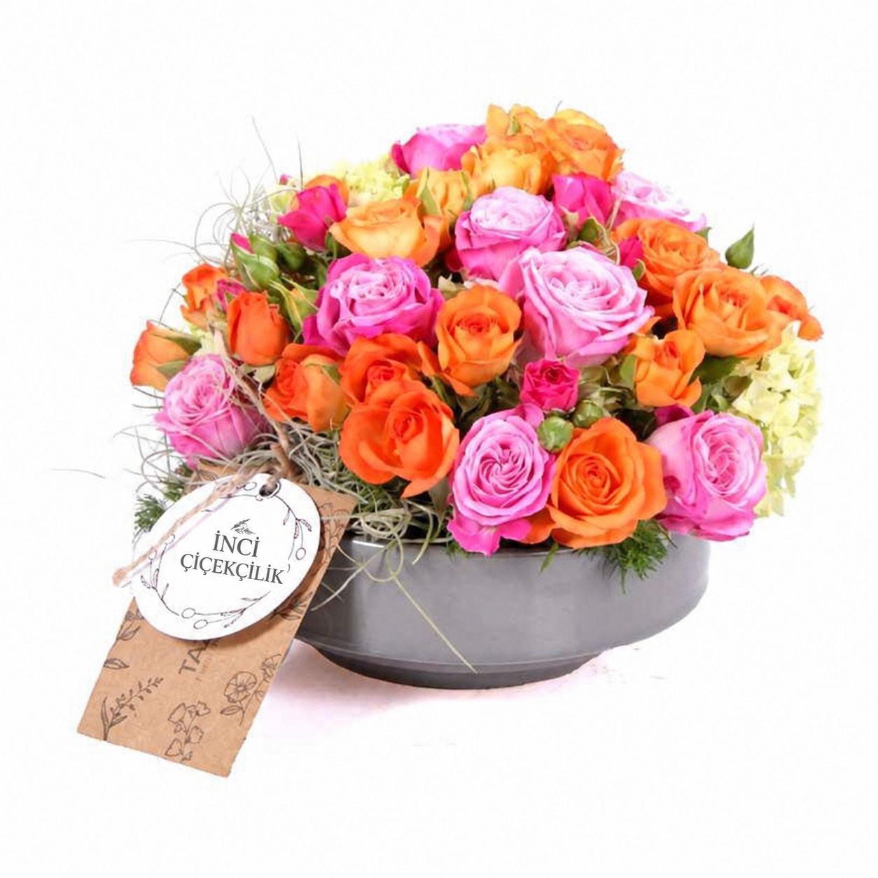 Rose Radiance Renkli Güller