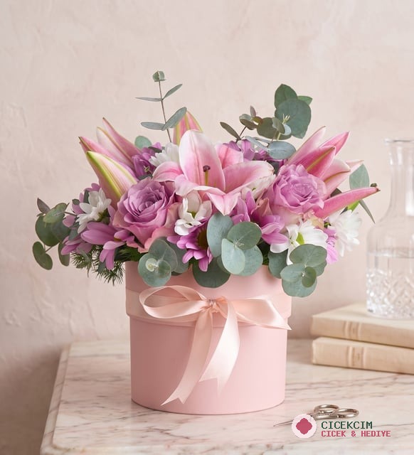 Pembe Saksıda Pembe Lilyum, Lila Gül, Beyaz Papatya