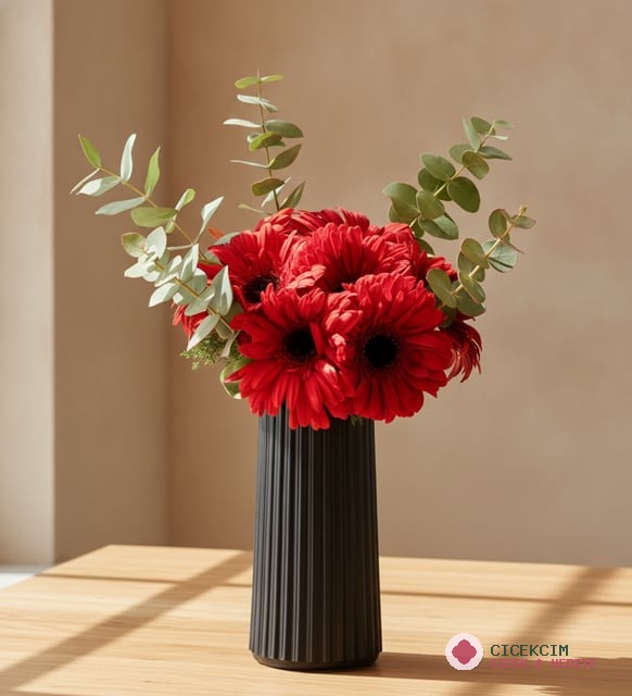 Siyah Çizgili Polimer Vazoda Kırmızı Gerbera Çiçekleri