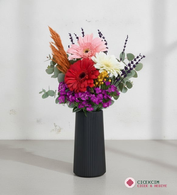 Siyah Çizgili Polimer Vazoda Kırmızı, Beyaz, Pembe Gerbera