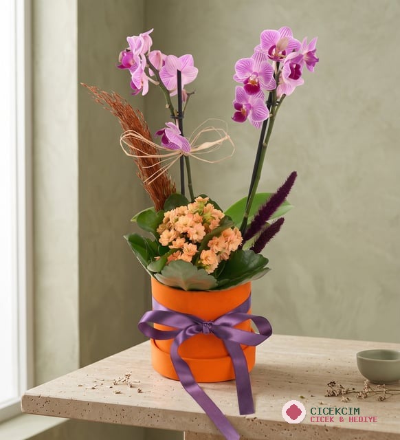 Turuncu Kutuda Mini Mor Orkide & Turuncu Kalanchoe