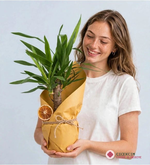 YUKKA ÇİÇEĞİ KRAFT BUKETLİ