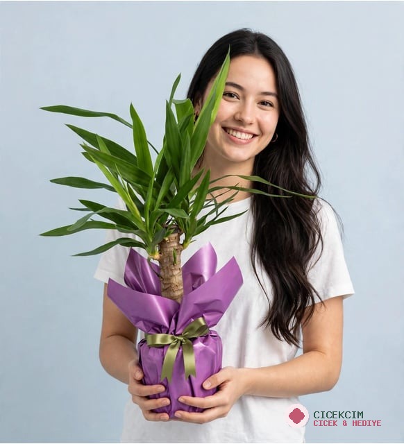 YUKKA ÇİÇEĞİ