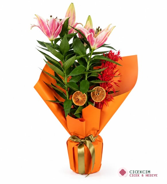 Premium Saksıda Pembe Lilyum Portakal ve Doğal Dokularla Özel Tasarım