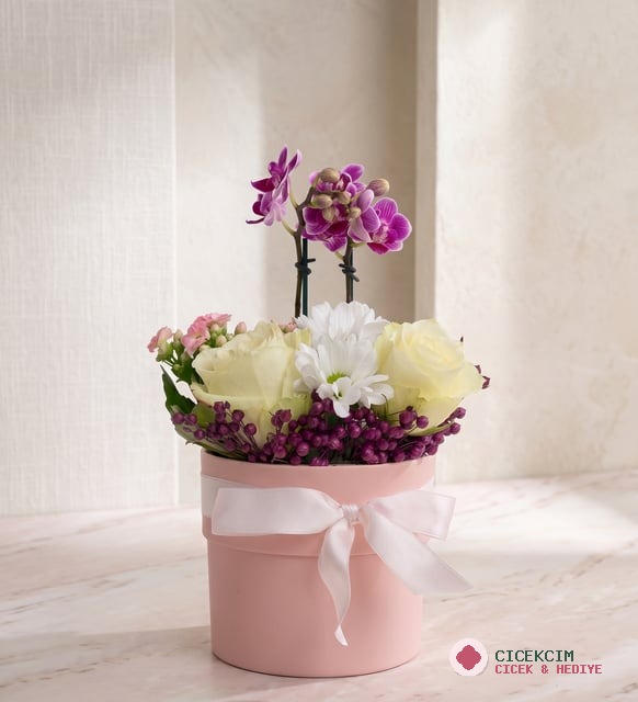 Pembe Polimer Saksıda Mini Orkide ve Beyaz Güller
